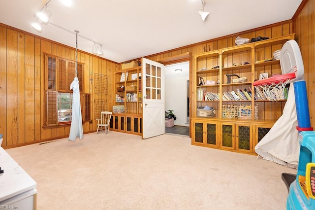 miscellaneous room featuring rail lighting, carpet flooring, and wooden walls