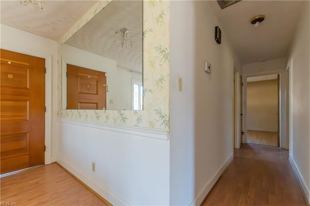 hall with hardwood / wood-style floors