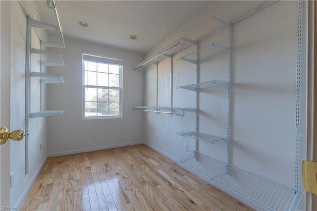 spacious closet with light wood-type flooring