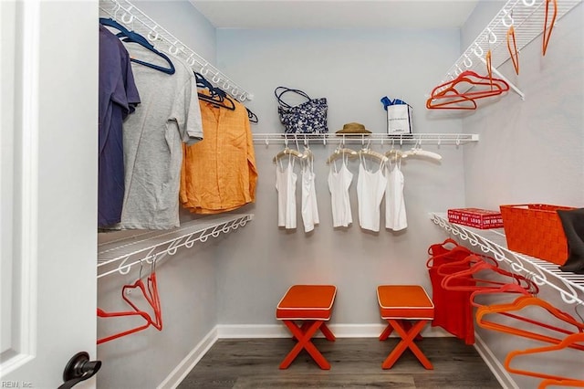 spacious closet featuring dark hardwood / wood-style floors