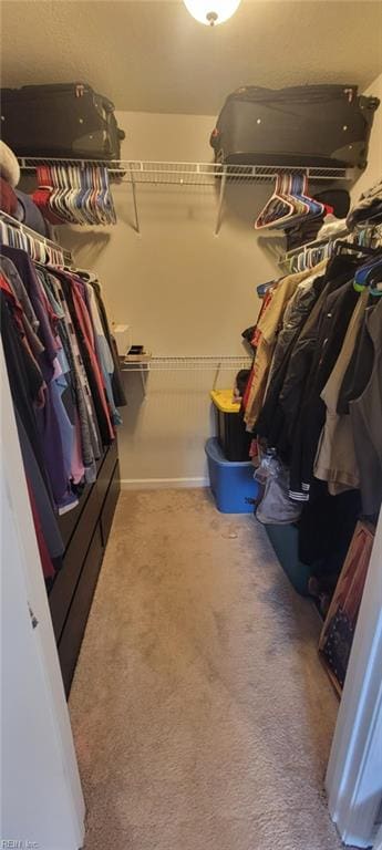 walk in closet featuring light carpet