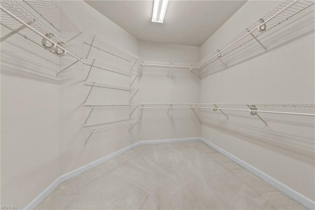 spacious closet with carpet floors