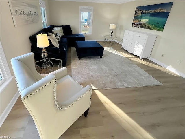 living area featuring light wood-type flooring