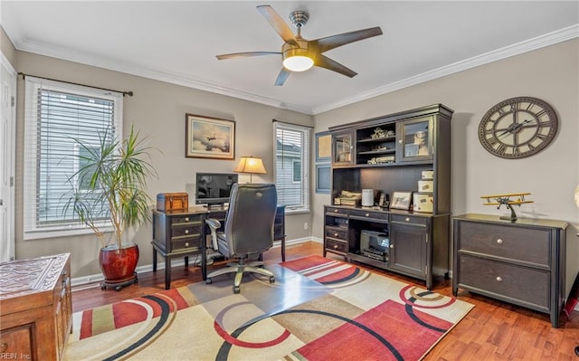 office featuring dark hardwood / wood-style flooring, ornamental molding, and ceiling fan