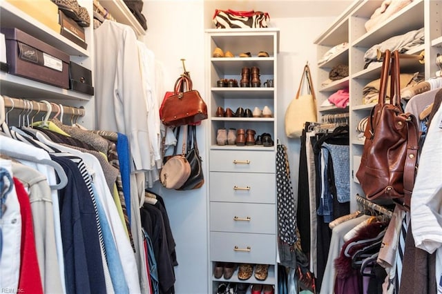 view of walk in closet