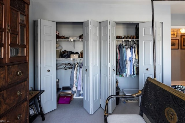 view of closet