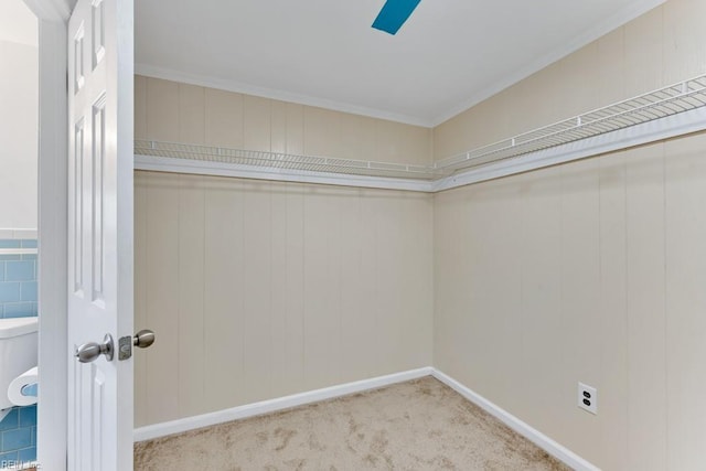 walk in closet featuring light colored carpet