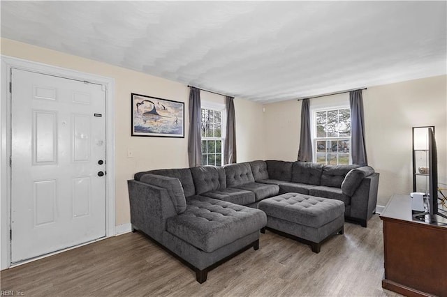 living room with hardwood / wood-style flooring and a healthy amount of sunlight