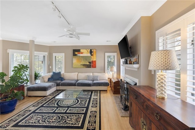 living room with ornamental molding, rail lighting, light wood-type flooring, and a wealth of natural light