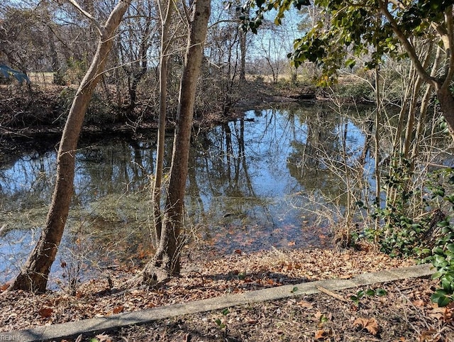 property view of water featuring a view of trees