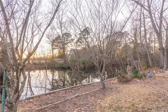 2228 Kings Hwy, Suffolk, VA 23435 - view of yard