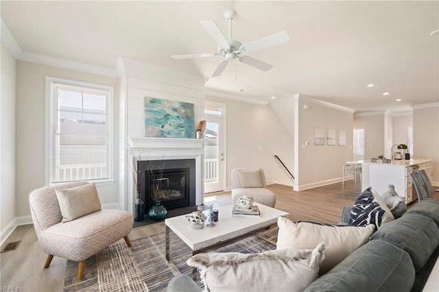 living room with crown molding, light hardwood / wood-style floors, and ceiling fan