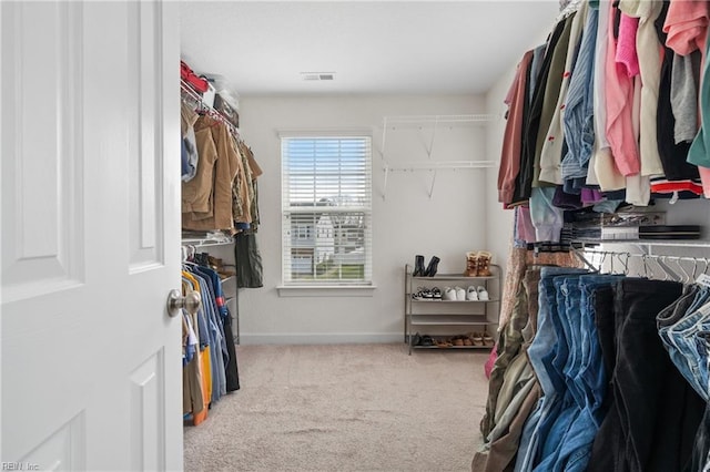 2608 River Watch Dr, Suffolk, VA 23434 - spacious closet featuring carpet floors