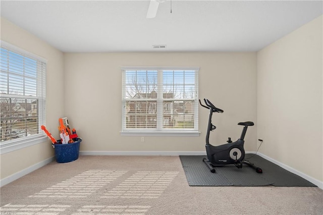 2608 River Watch Dr, Suffolk, VA 23434 - exercise room with ceiling fan and light carpet