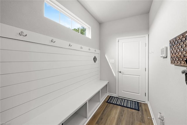 mudroom featuring dark hardwood / wood-style flooring