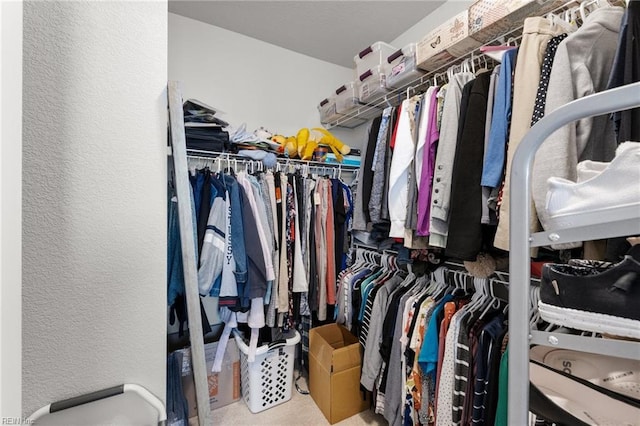 spacious closet featuring carpet flooring