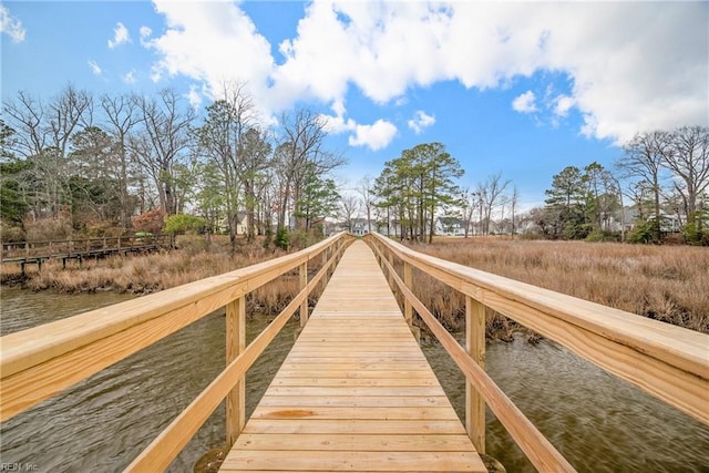 dock area with a water view