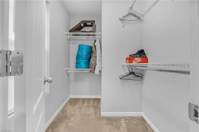 spacious closet featuring light colored carpet