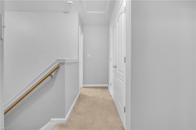 spacious closet with light colored carpet