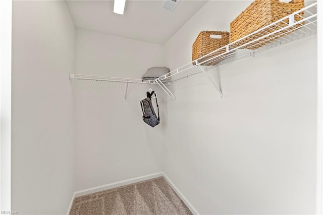 129 Getty Rd, Suffolk, VA 23434 - walk in closet with carpet flooring