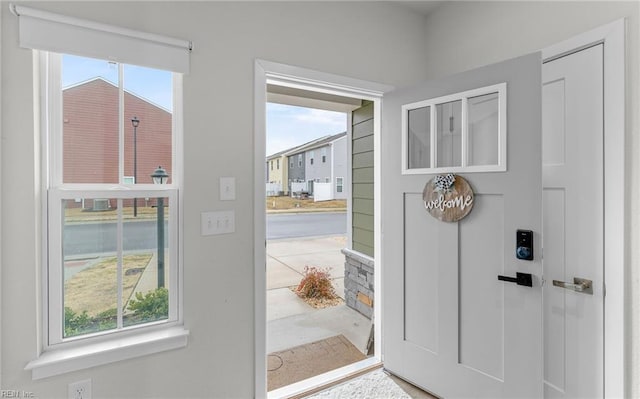 doorway featuring a wealth of natural light