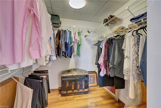 walk in closet with a paneled ceiling and light hardwood / wood-style flooring