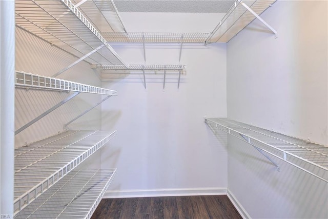 walk in closet featuring dark hardwood / wood-style flooring