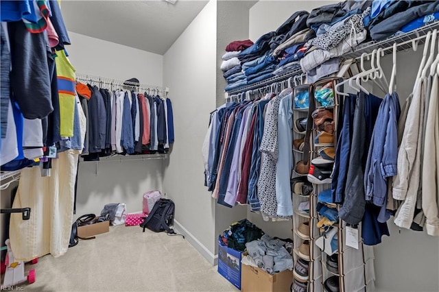 walk in closet featuring carpet floors