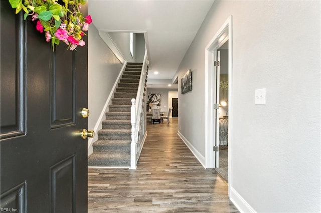 foyer entrance featuring dark hardwood / wood-style flooring