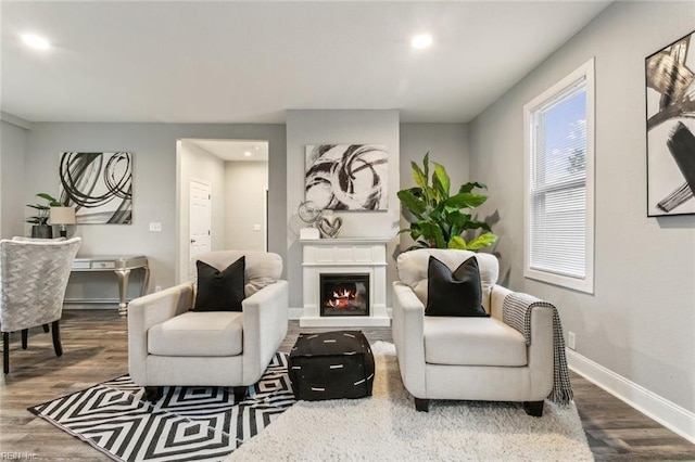 living room featuring hardwood / wood-style flooring