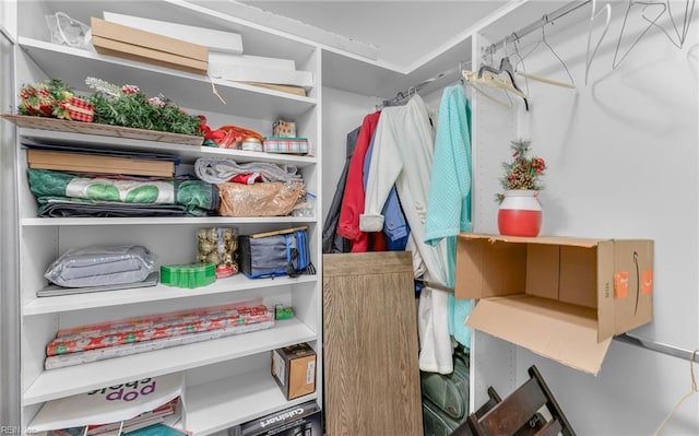 view of walk in closet