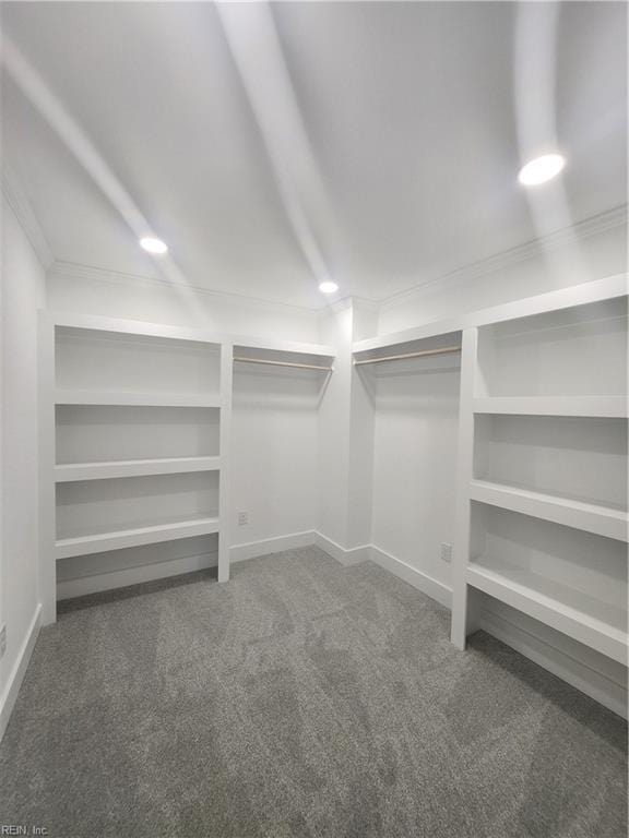 walk in closet with dark carpet