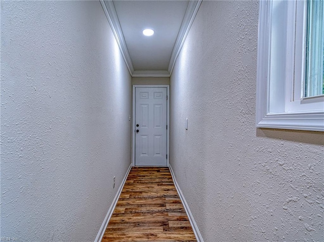 hall with crown molding and dark wood-type flooring