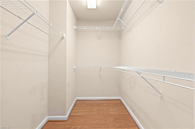 walk in closet with hardwood / wood-style floors