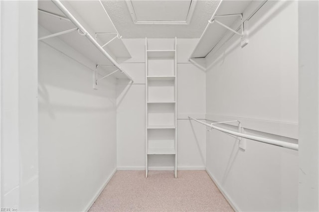 spacious closet featuring light carpet