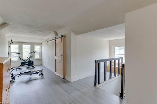 exercise room featuring light hardwood / wood-style floors, a barn door, and a healthy amount of sunlight