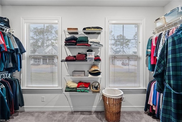 walk in closet with light carpet