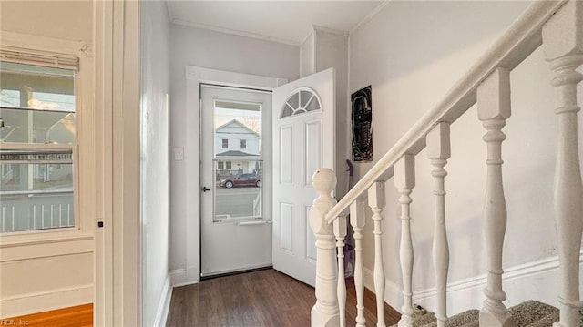 foyer with crown molding, dark hardwood / wood-style floors, and a wealth of natural light