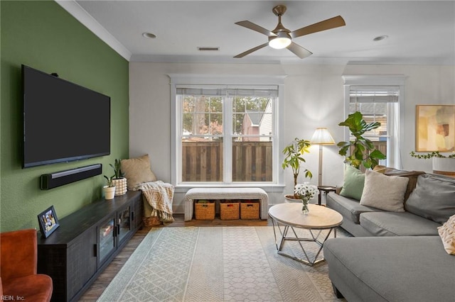 living room featuring ceiling fan, ornamental molding, and light hardwood / wood-style floors