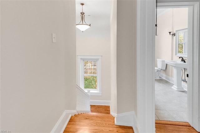 corridor featuring hardwood / wood-style flooring and plenty of natural light