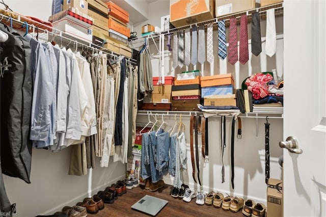 walk in closet featuring wood-type flooring