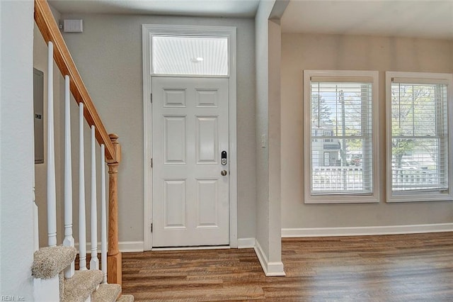 foyer entrance featuring dark wood-type flooring