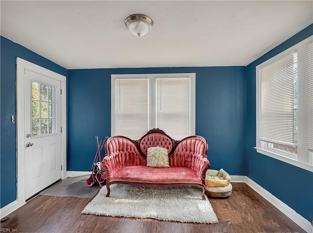 sitting room featuring hardwood / wood-style floors