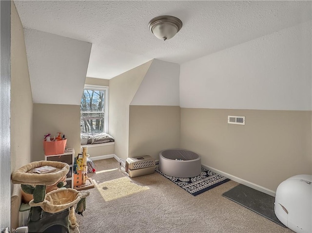 bonus room with lofted ceiling, carpet, and a textured ceiling