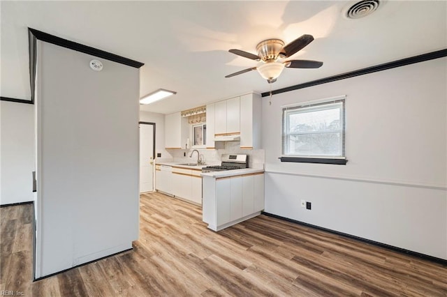 kitchen featuring stainless steel stove, tasteful backsplash, sink, white cabinets, and light hardwood / wood-style floors