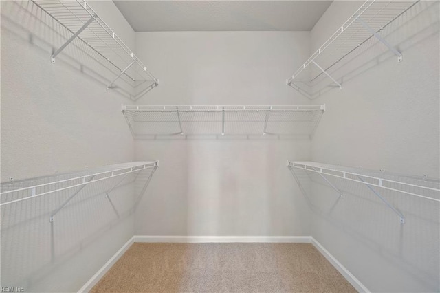 spacious closet with carpet flooring