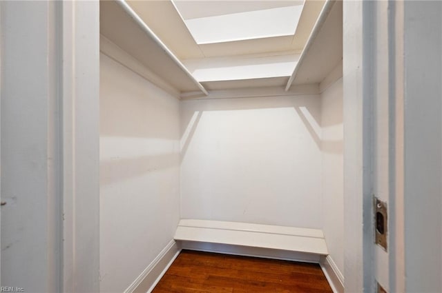 spacious closet featuring dark hardwood / wood-style flooring and a skylight