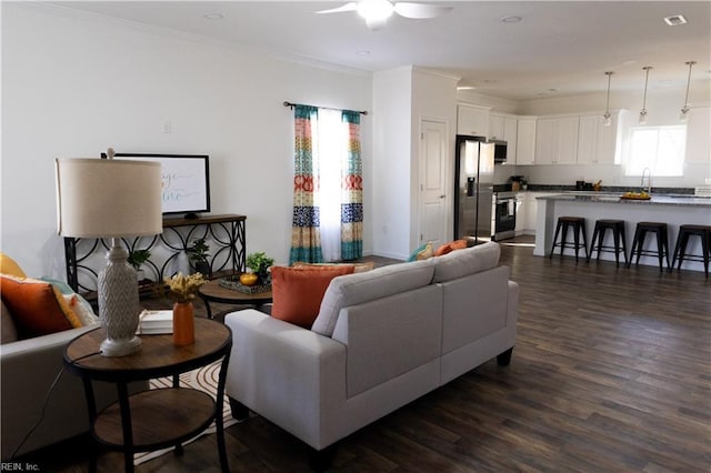 living room with crown molding, dark hardwood / wood-style floors, sink, and ceiling fan