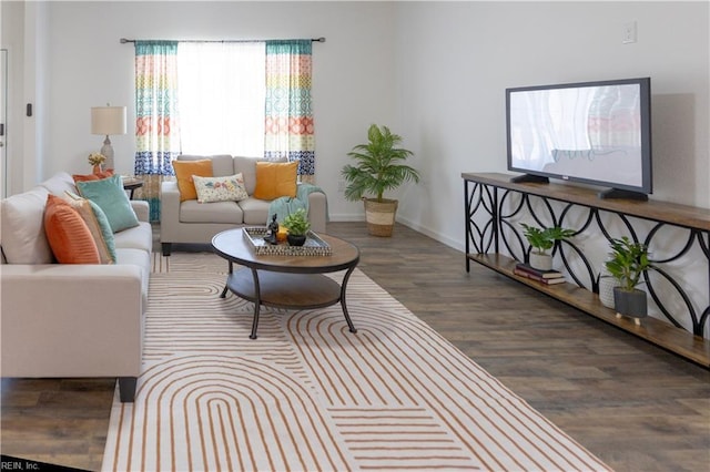 living room featuring wood-type flooring