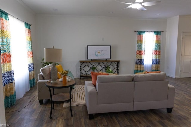 living room with dark wood-type flooring, ceiling fan, and ornamental molding